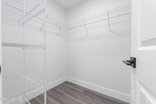 1114 Nantucket Ave, Jacksonville, FL 32233 - walk in closet with wood finished floors