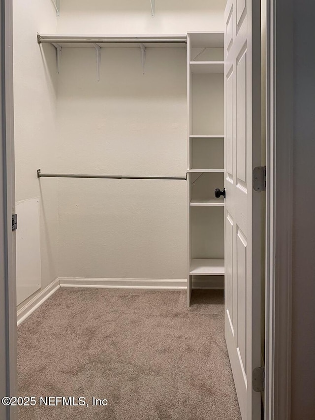 5151 Playpen Dr Unit 7-2, Jacksonville, FL 32210 - walk in closet featuring carpet