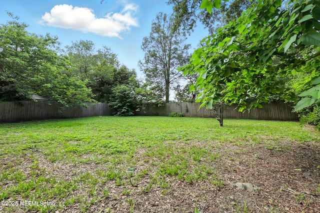 6552 Shady Oak Dr, Jacksonville, FL 32277 - view of fenced backyard
