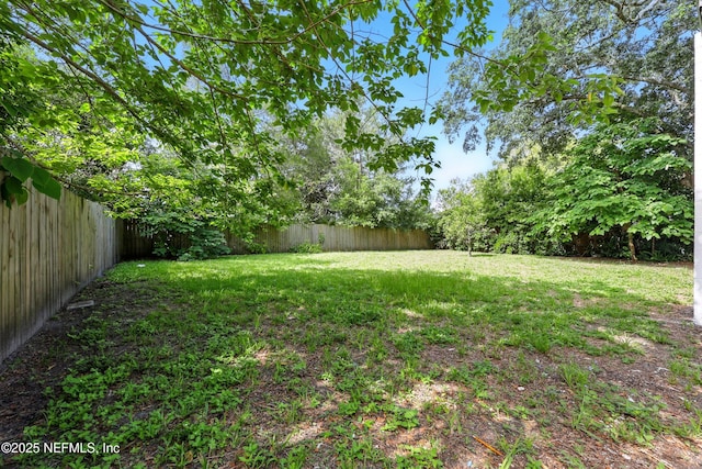 6552 Shady Oak Dr, Jacksonville, FL 32277 - view of fenced backyard