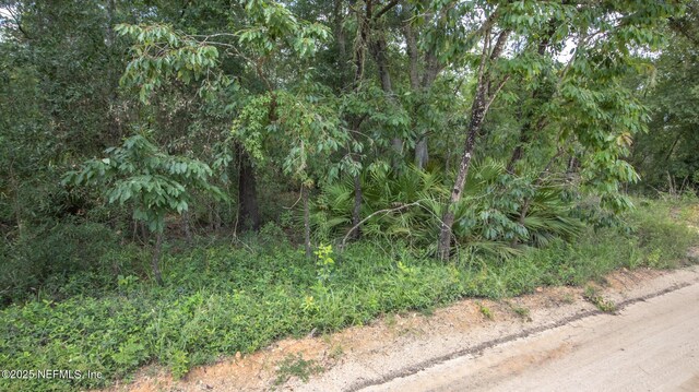 5750 Indian Trl, Keystone Heights, FL 32656 - photo 2