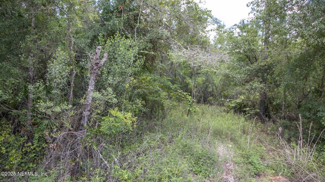 5750 Indian Trl, Keystone Heights, FL 32656 - photo 5