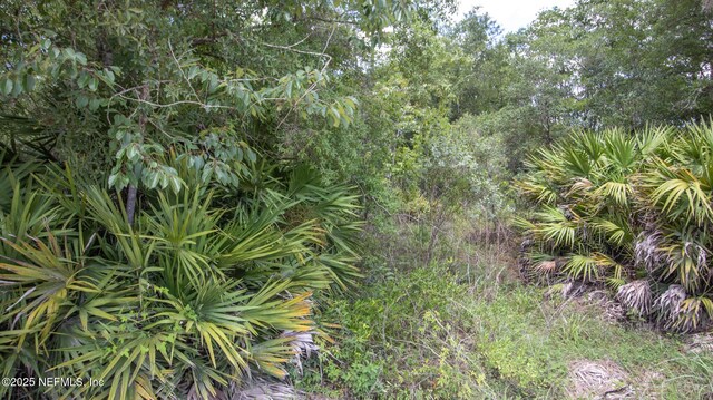 5750 Indian Trl, Keystone Heights, FL 32656 - photo 6
