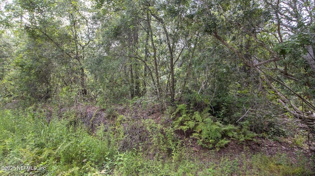 4235 Oak Forest Ln, Keystone Heights, FL 32656