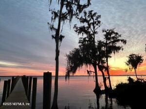 171 Oakmoss Dr, Saint Johns, FL 32259 - water view