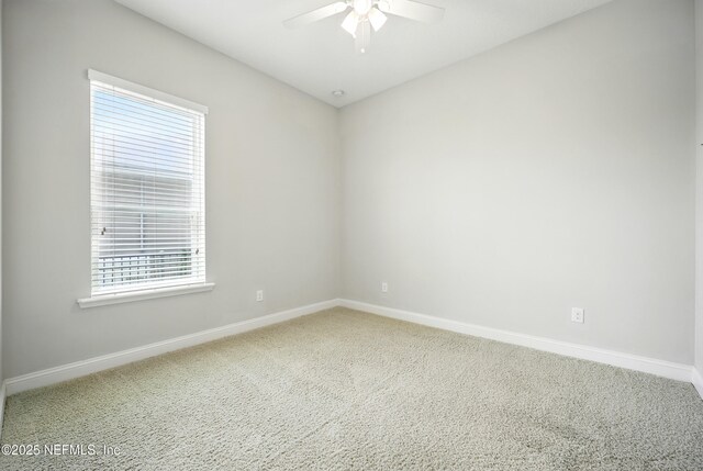 38 King Palm Ct, Jacksonville, FL 32081 - photo 54