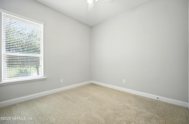 38 King Palm Ct, Jacksonville, FL 32081 - photo 36