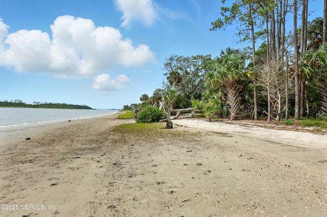 38 King Palm Ct, Jacksonville, FL 32081 - photo 73