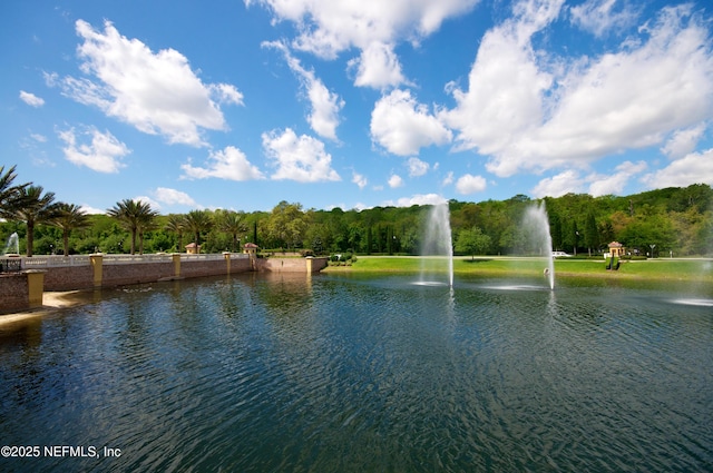 11890 Surfbird Cir Unit 42E, Jacksonville, FL 32256 - water view