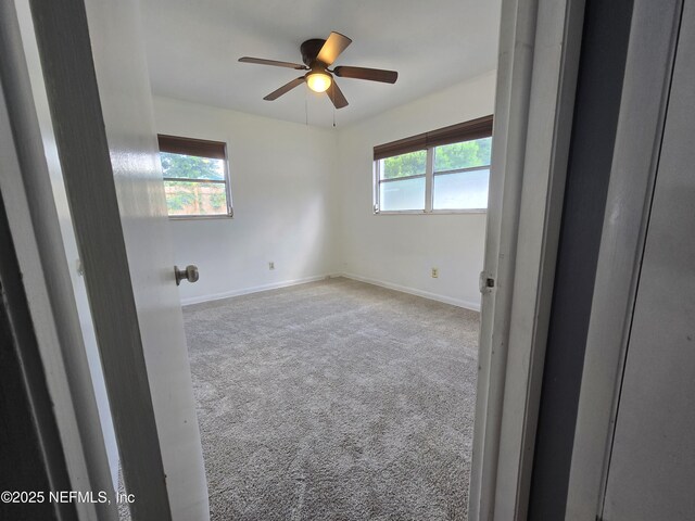 7717 Knoll Dr N, Jacksonville, FL 32221 - photo 12