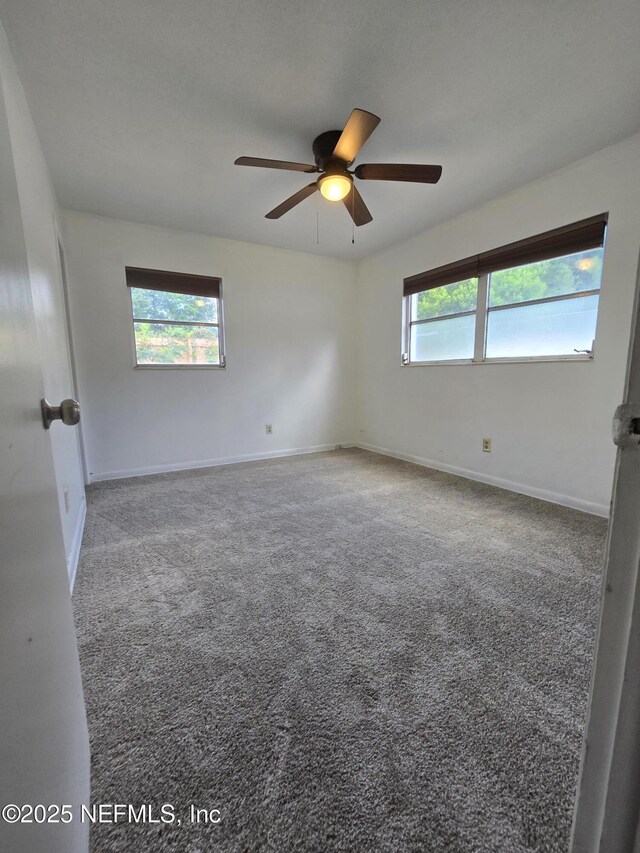 7717 Knoll Dr N, Jacksonville, FL 32221 - photo 14