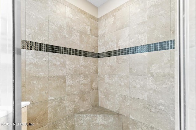 190 Colorado Springs Way, Saint Augustine, FL 32092 - bathroom view of a tile shower