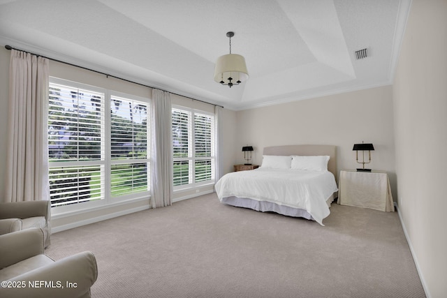 101 Royal Lagoon Ct, Ponte Vedra Beach, FL 32082 - bedroom with carpet flooring and a raised ceiling