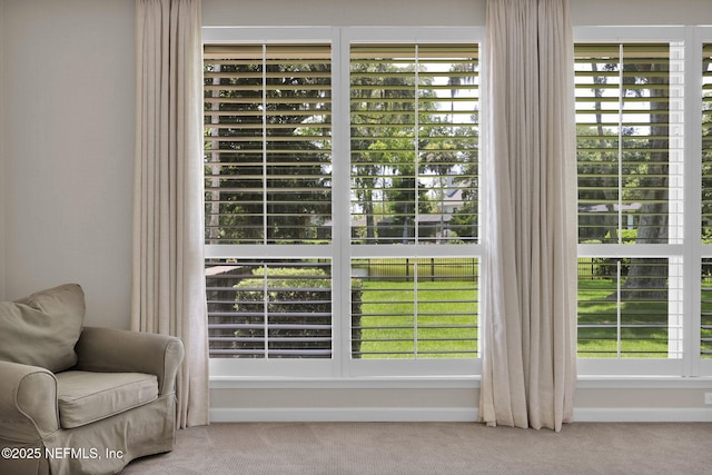 101 Royal Lagoon Ct, Ponte Vedra Beach, FL 32082 - detailed view of carpet floors
