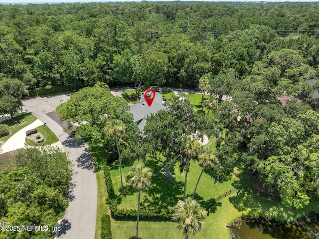 101 Royal Lagoon Ct, Ponte Vedra Beach, FL 32082 - aerial view of a heavily wooded area