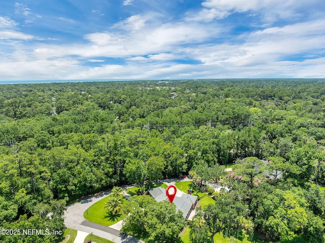 101 Royal Lagoon Ct, Ponte Vedra Beach, FL 32082 - drone / aerial view of a heavily wooded area