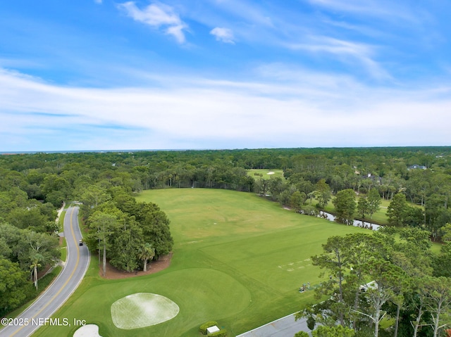 101 Royal Lagoon Ct, Ponte Vedra Beach, FL 32082 - aerial view of property and surrounding area featuring a golf course and a large body of water