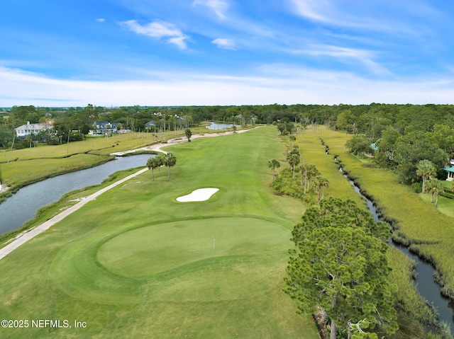 101 Royal Lagoon Ct, Ponte Vedra Beach, FL 32082 - view of community featuring view of golf course, a water view, and view of wooded area