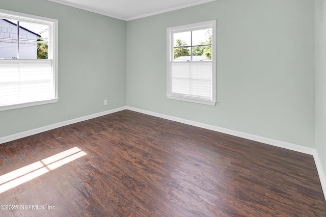 4610 Timuquana Rd, Jacksonville, FL 32210 - photo 13