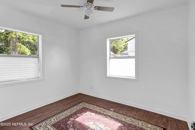 4610 Timuquana Rd, Jacksonville, FL 32210 - photo 15