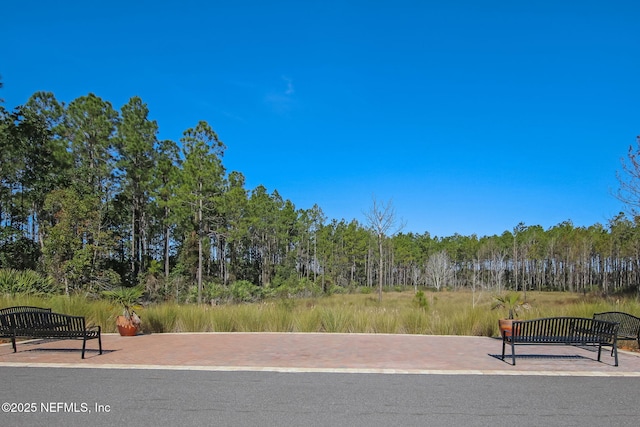 91 Broadhaven Dr, Ponte Vedra, FL 32081 - photo 35
