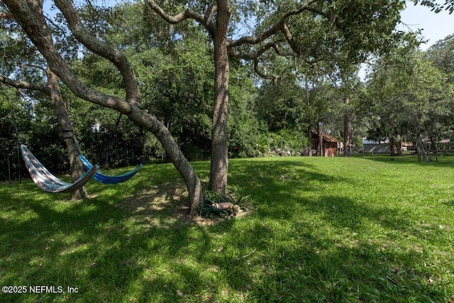 3776 Arrowhead Dr, Saint Augustine, FL 32086 - view of green lawn
