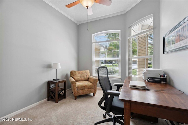 573 N Bridgestone Ave, Saint Johns, FL 32259 - office featuring ornamental molding, light colored carpet, and a ceiling fan