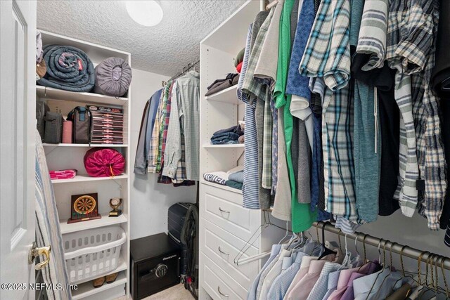 573 N Bridgestone Ave, Saint Johns, FL 32259 - view of spacious closet