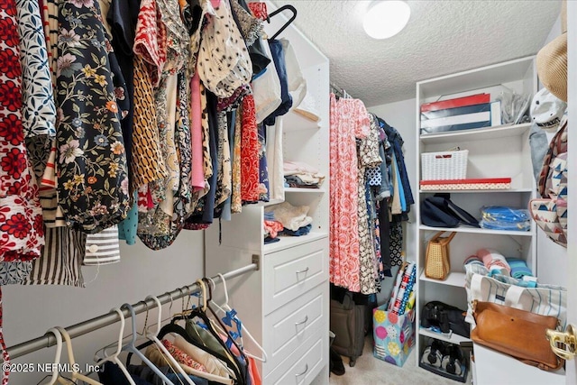 573 N Bridgestone Ave, Saint Johns, FL 32259 - view of walk in closet