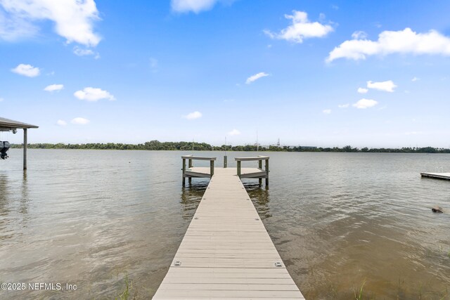 6102 Heckscher Dr, Jacksonville, FL 32226 - photo 38
