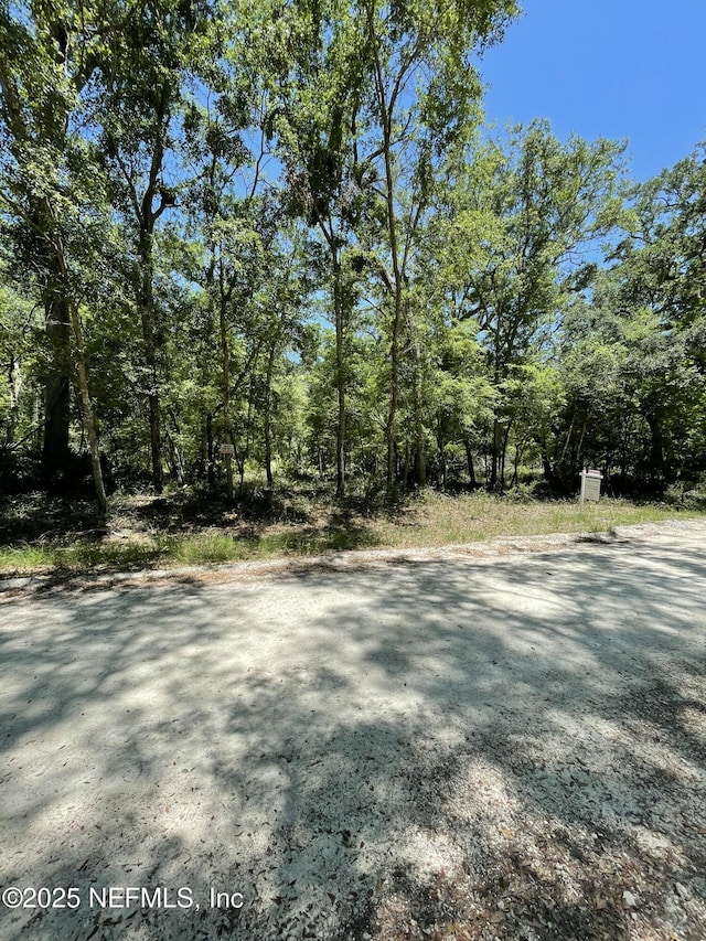 LOT14 292nd St, Branford, FL 32008 - photo 4