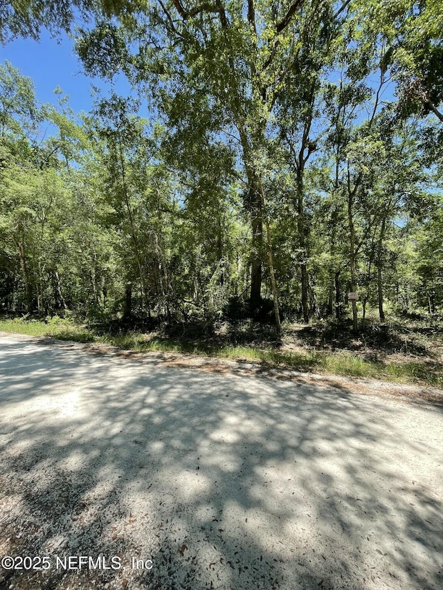 LOT14 292nd St, Branford, FL 32008 - photo 1