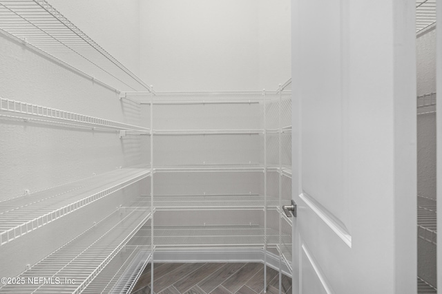 238 Courtney Chase Dr, Saint Augustine, FL 32092 - view of pantry