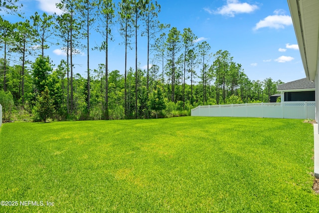 238 Courtney Chase Dr, Saint Augustine, FL 32092 - view of yard