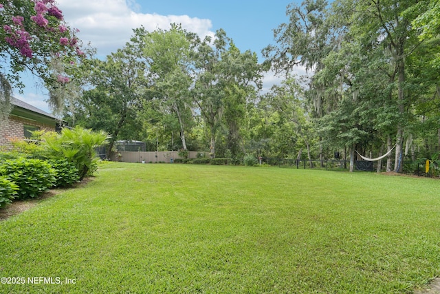 1288 Creek Bend Rd, Saint Johns, FL 32259 - view of yard