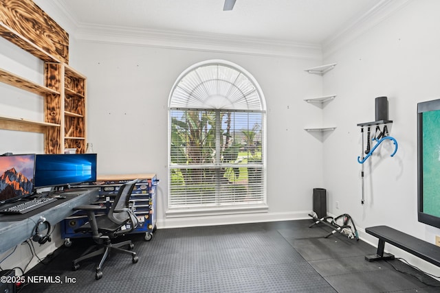 1288 Creek Bend Rd, Saint Johns, FL 32259 - office featuring crown molding