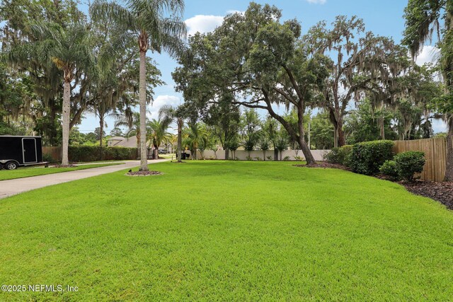 1823 N Lakeshore Dr, Fleming Island, FL 32003 - view of yard
