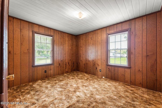 37206 Cypress Ln, Hilliard, FL 32046 - unfurnished room with carpet flooring and wood walls