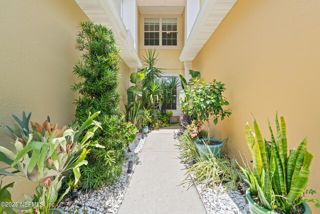 14070 Mahogany Ave, Jacksonville, FL 32258 - photo 3