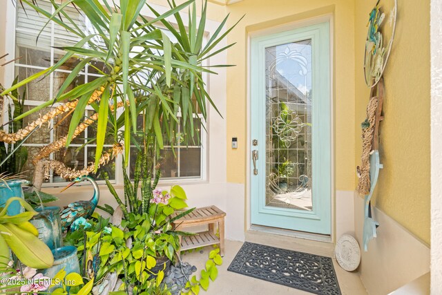 14070 Mahogany Ave, Jacksonville, FL 32258 - photo 4