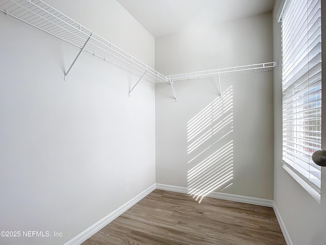 29 Wood Ash Ln, Palm Coast, FL 32164 - spacious closet with wood finished floors