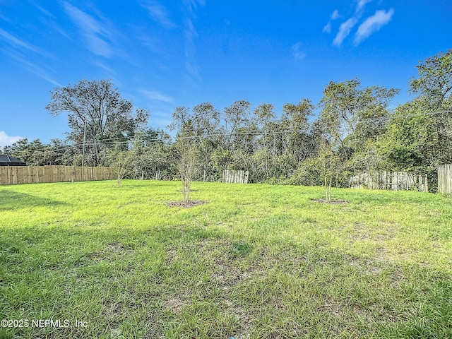 29 Wood Ash Ln, Palm Coast, FL 32164 - view of yard