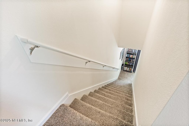 81 Scotch Pebble Dr, Saint Augustine, FL 32259 - stairway featuring carpet floors