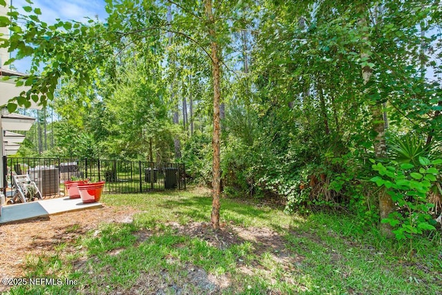 81 Scotch Pebble Dr, Saint Augustine, FL 32259 - view of yard