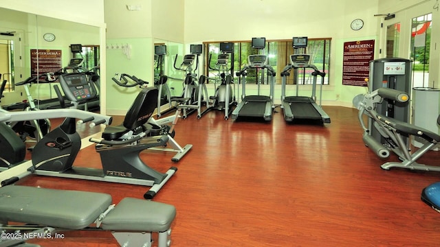 81 Scotch Pebble Dr, Saint Augustine, FL 32259 - gym featuring a high ceiling and wood finished floors