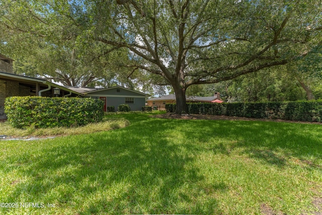 5042 Brighton Dr, Jacksonville, FL 32217 - view of grassy yard