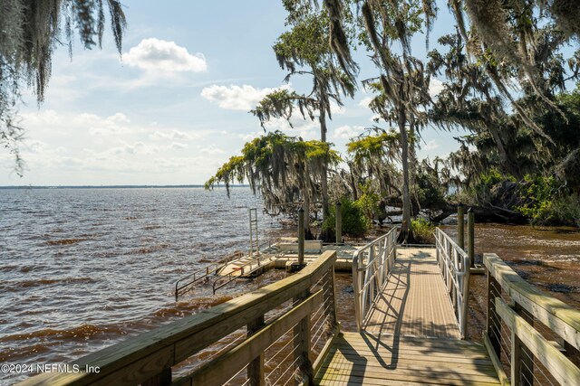 84 Ruskin Dr, Saint Johns, FL 32259 - photo 72