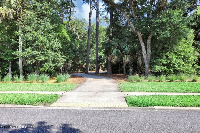 452 Deer Valley Dr, Ponte Vedra, FL 32081 - view of community