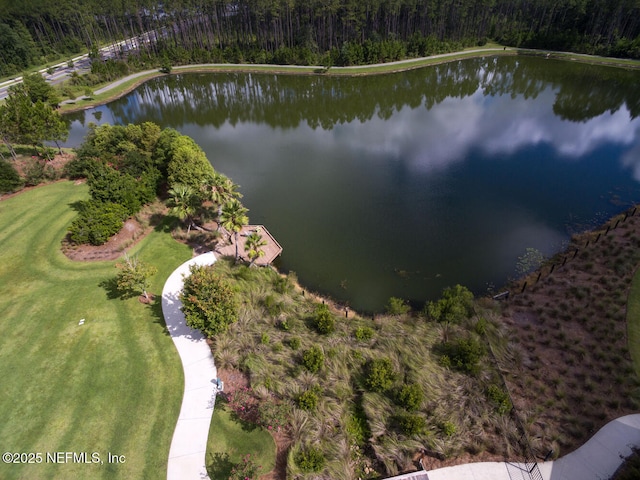 117 Redbud Ln, Yulee, FL 32097 - aerial overview of property's location featuring a nearby body of water and a heavily wooded area