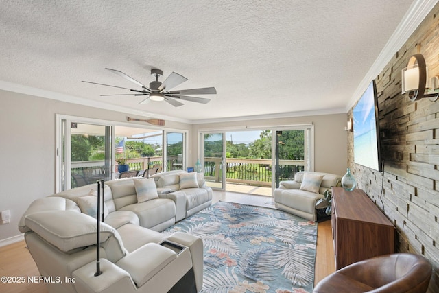 136 Sherwood Ave, Saint Augustine, FL 32084 - living area featuring plenty of natural light, a textured ceiling, a ceiling fan, crown molding, and wood finished floors